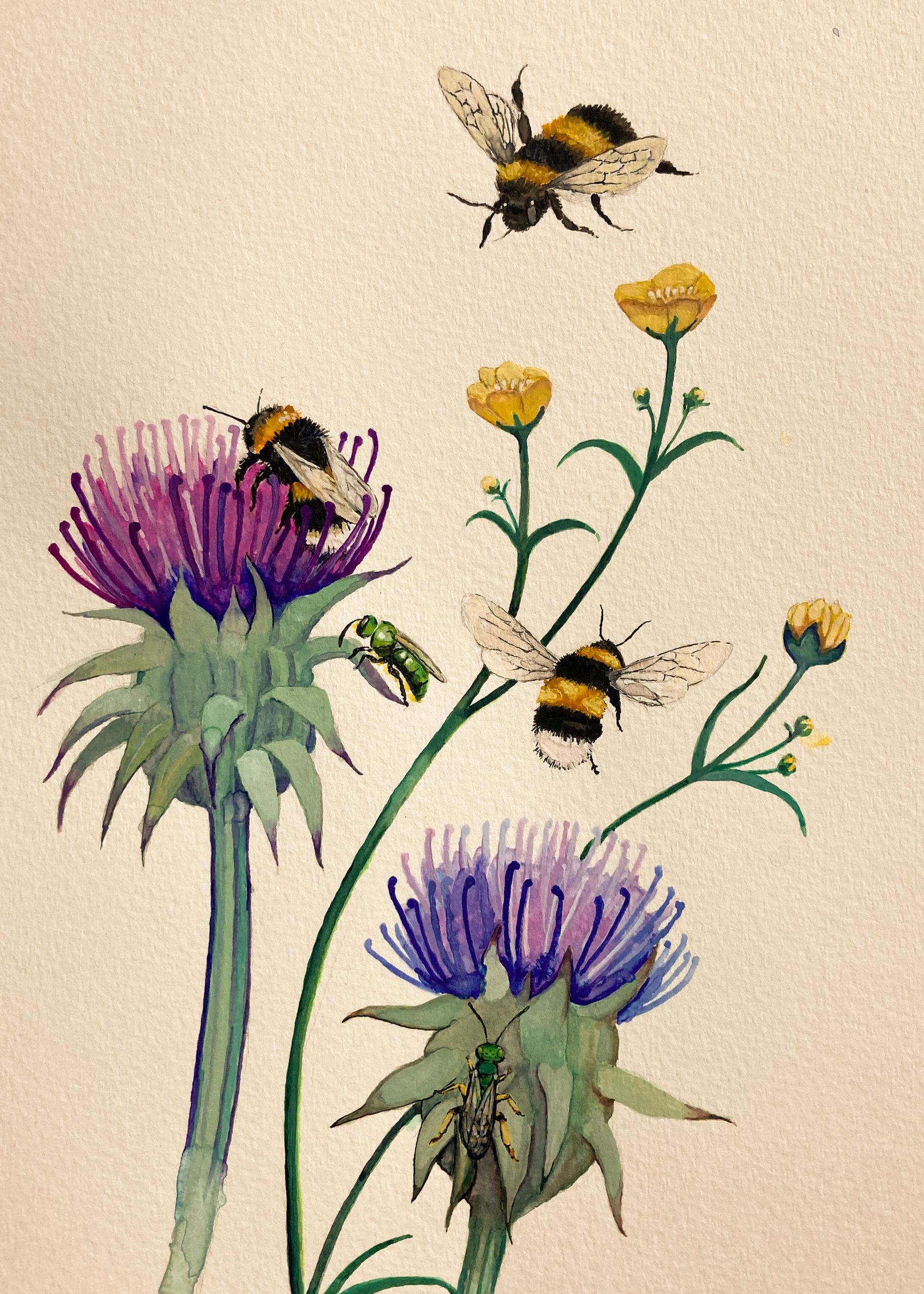 Gouache painting of bees and pollinators buzzing around and feeding on flowers.