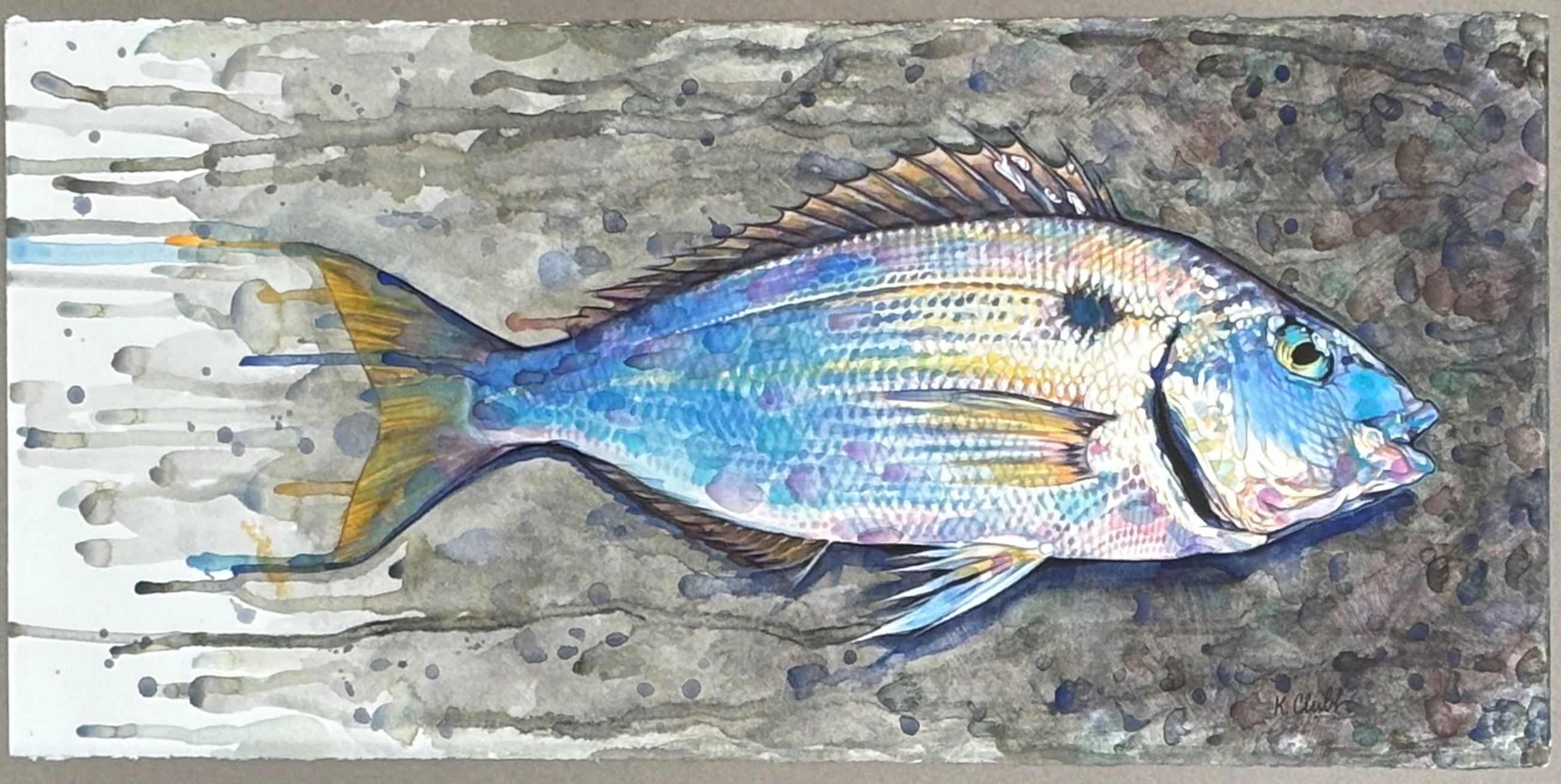 Watercolor painting of a fish.