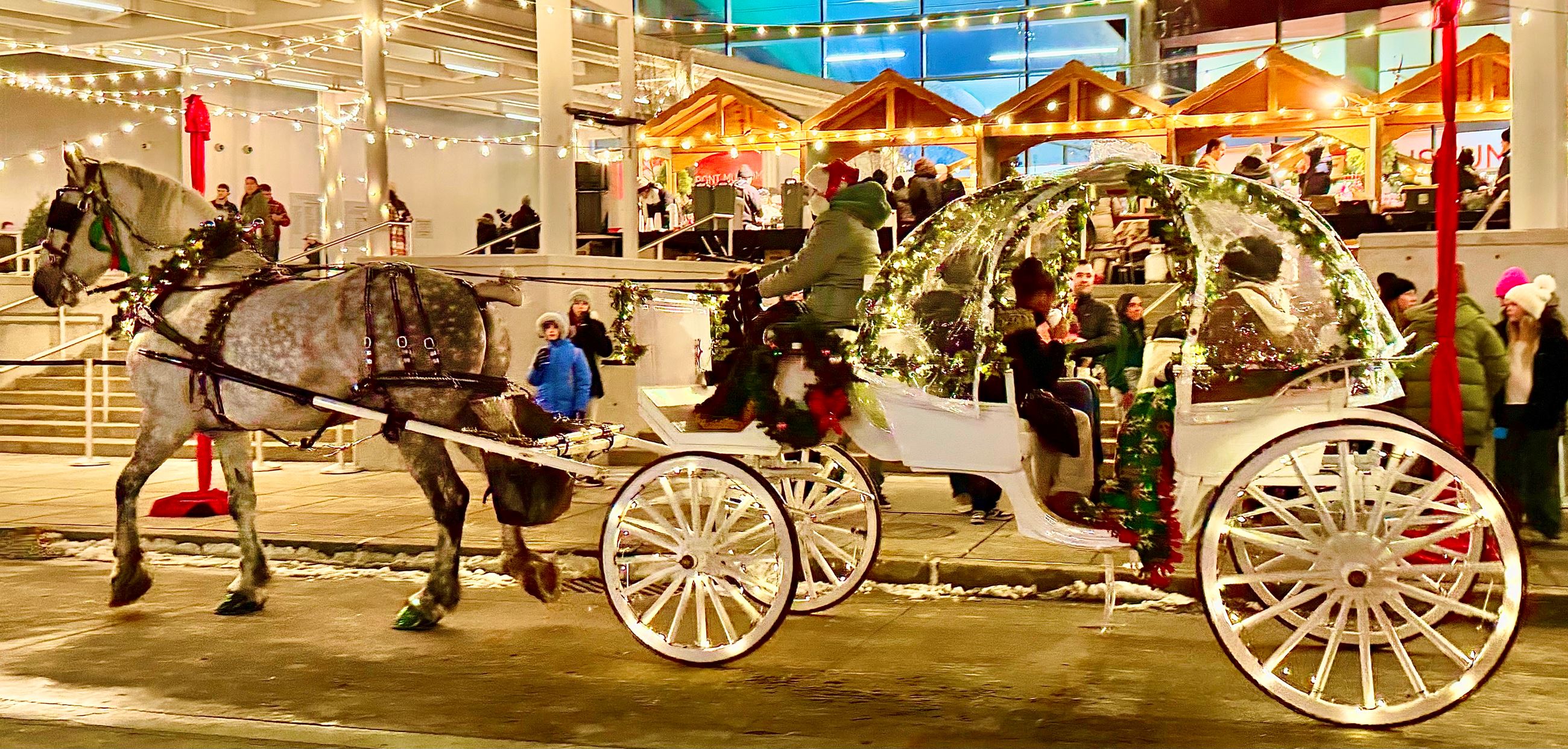 A horse and carriage is all lit up and carrying passengers for the holidays.