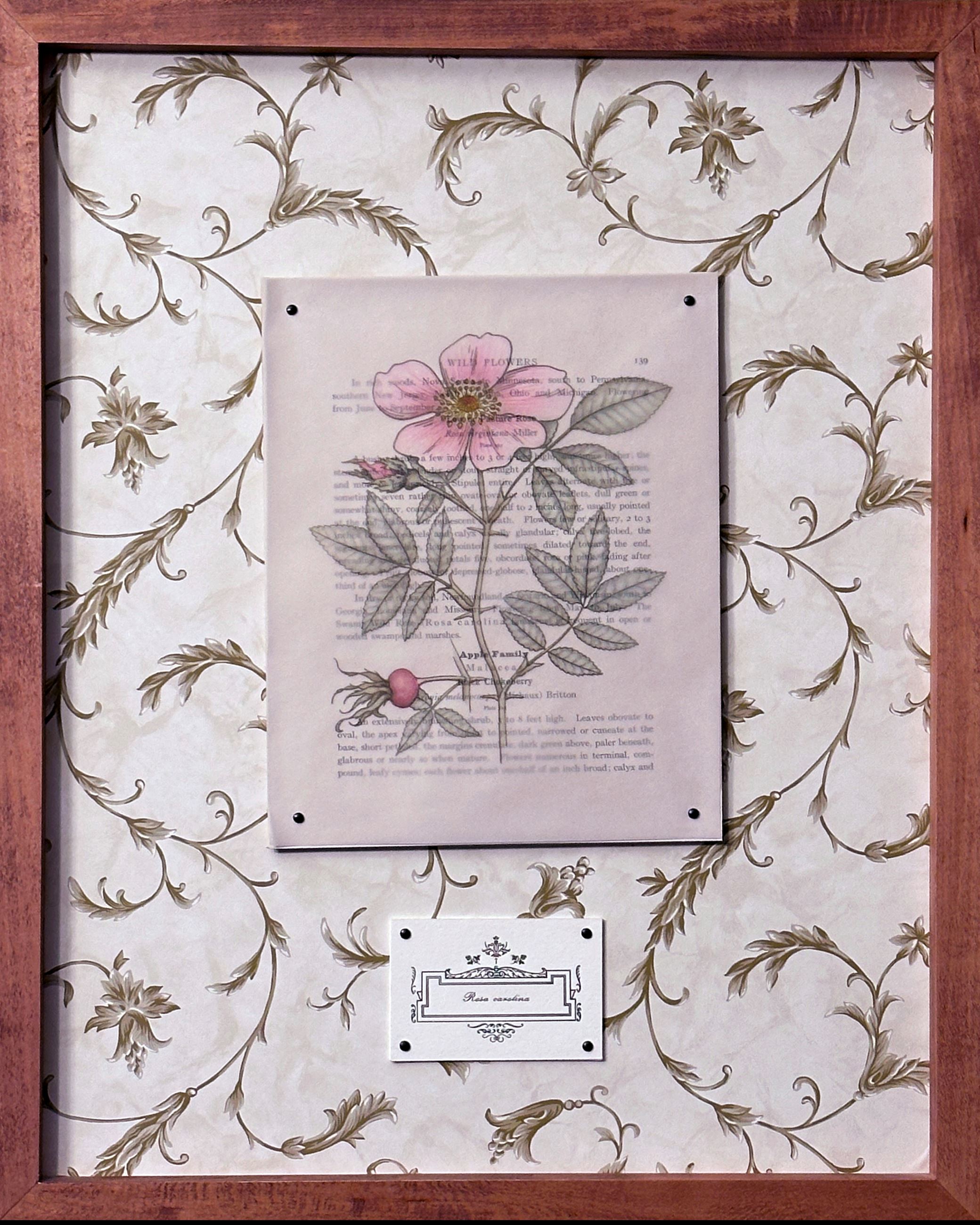 Mixed media artwork of a pasture rose with text over it.